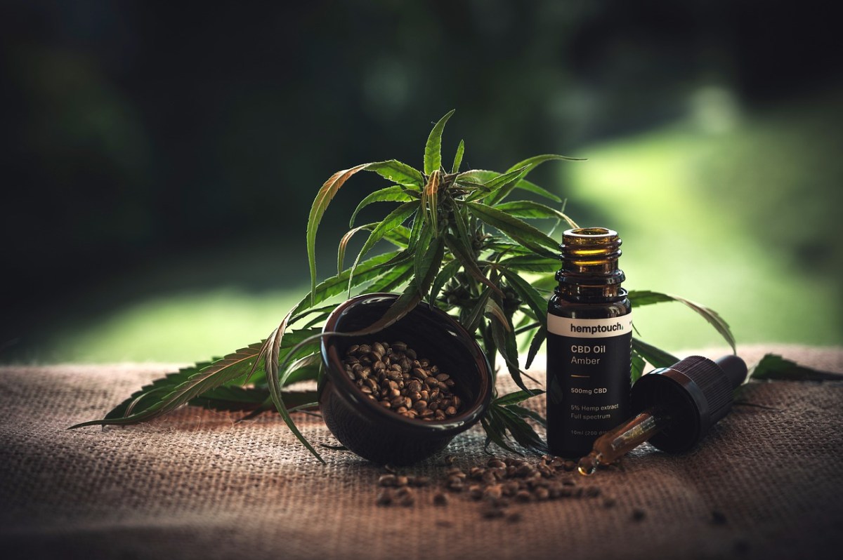 7 Dinge, die Sie über CBD-Erste-Hilfe bei Panikattacken unbedingt wissen sollten